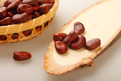 《极速滑板》新作确认登陆Steam 主机测试今年开启